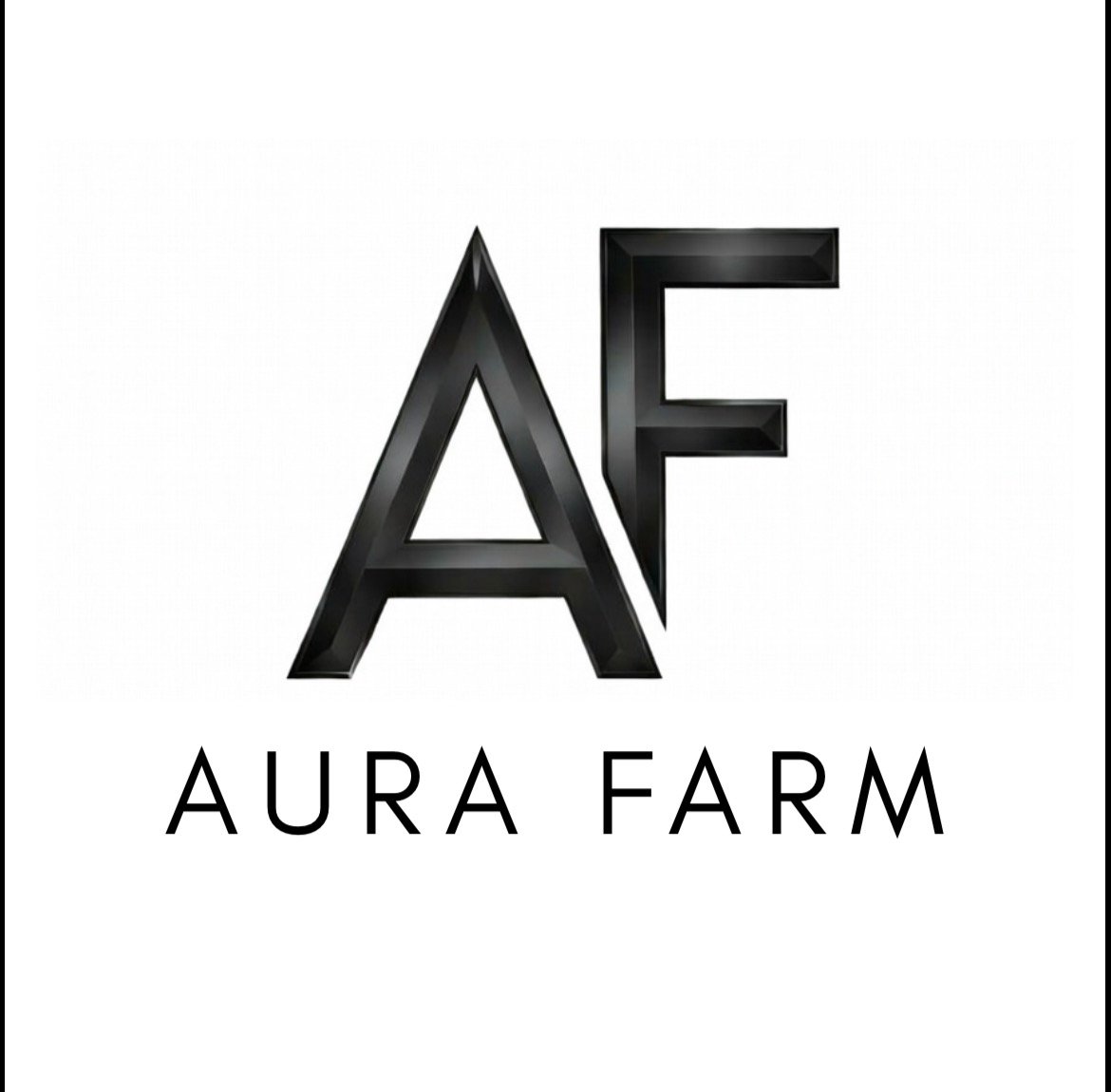 AURA FARM PERFUMES